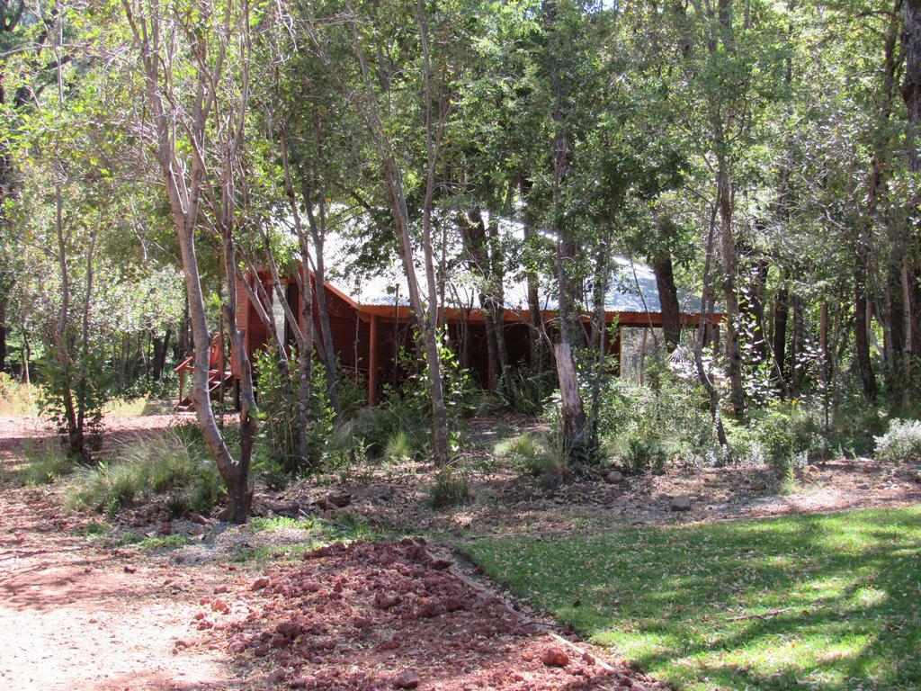 Cabanas Roble Quemado Las Trancas Exterior photo